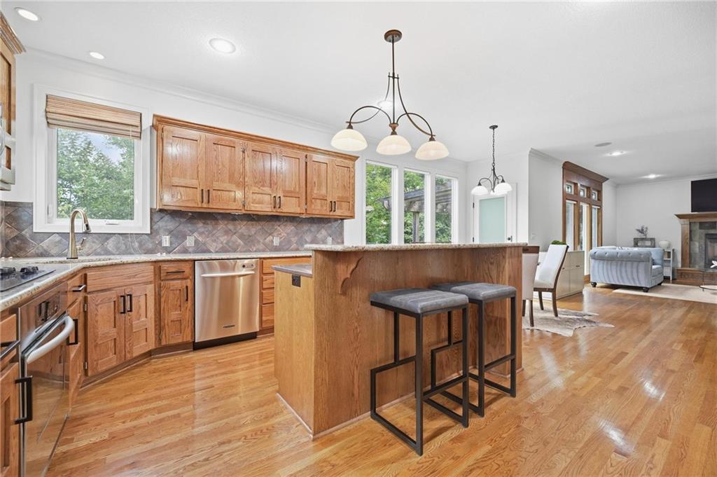 Listing Photo MLS #HMS2641811