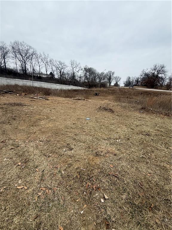 Listing Photo MLS #HMS2642052