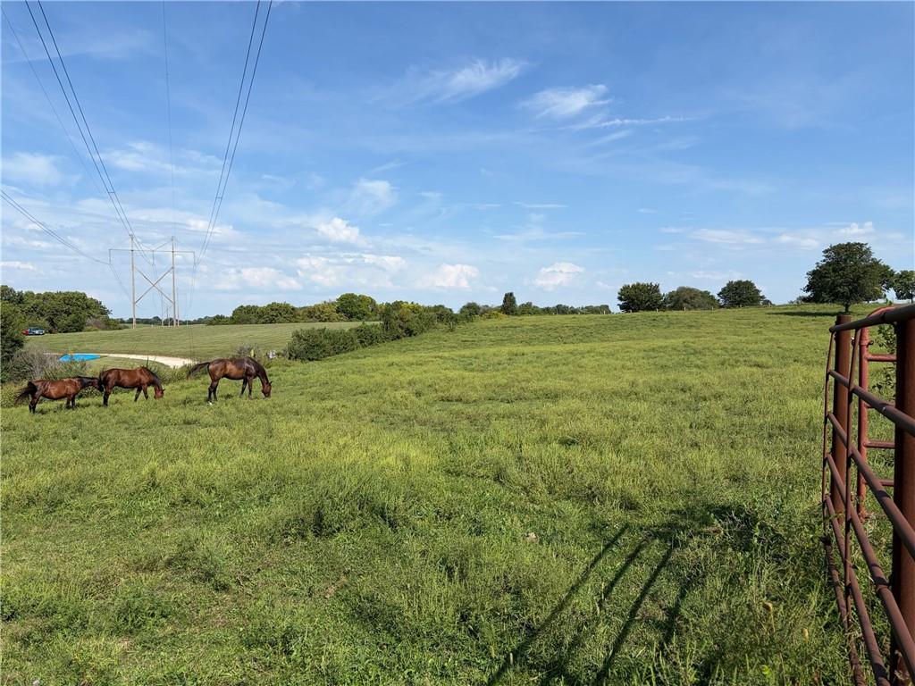 Listing Photo MLS #HMS2642082