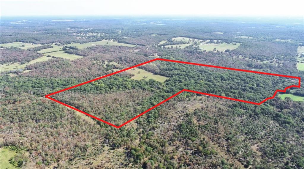 Listing Photo MLS #HMS2642585