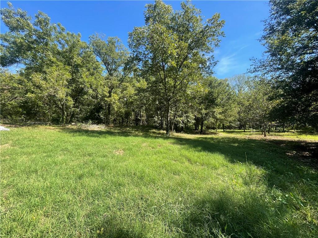 Listing Photo MLS #HMS2643789