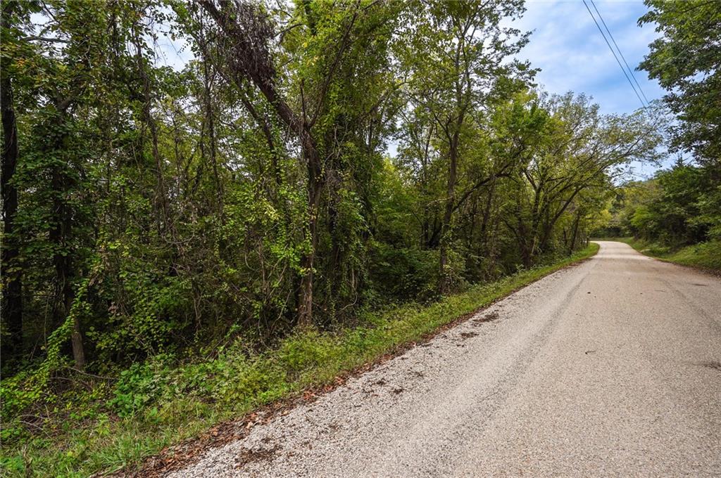 Listing Photo MLS #HMS2644287